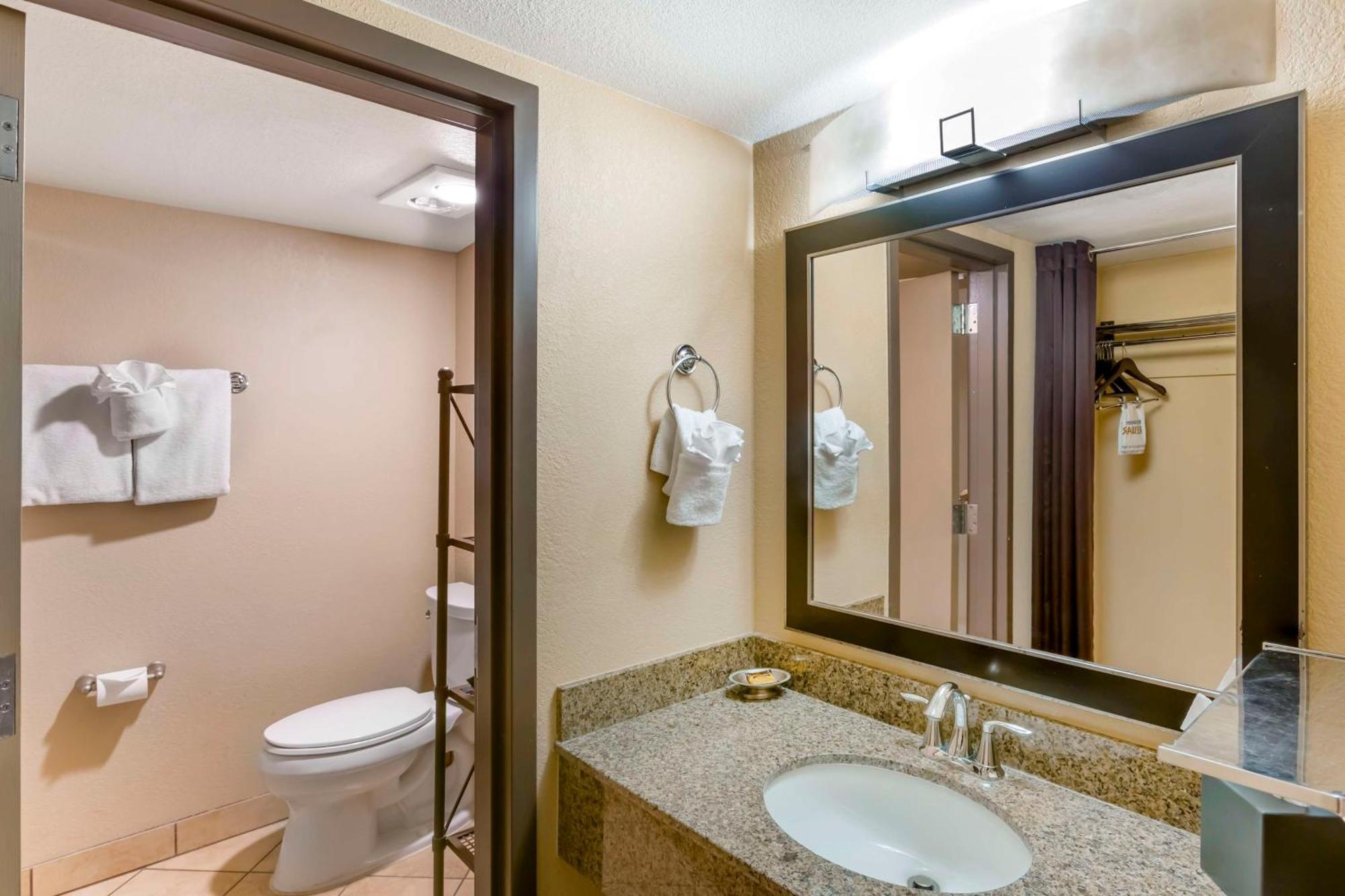 King Room - Pet Friendly/Non-Smoking
